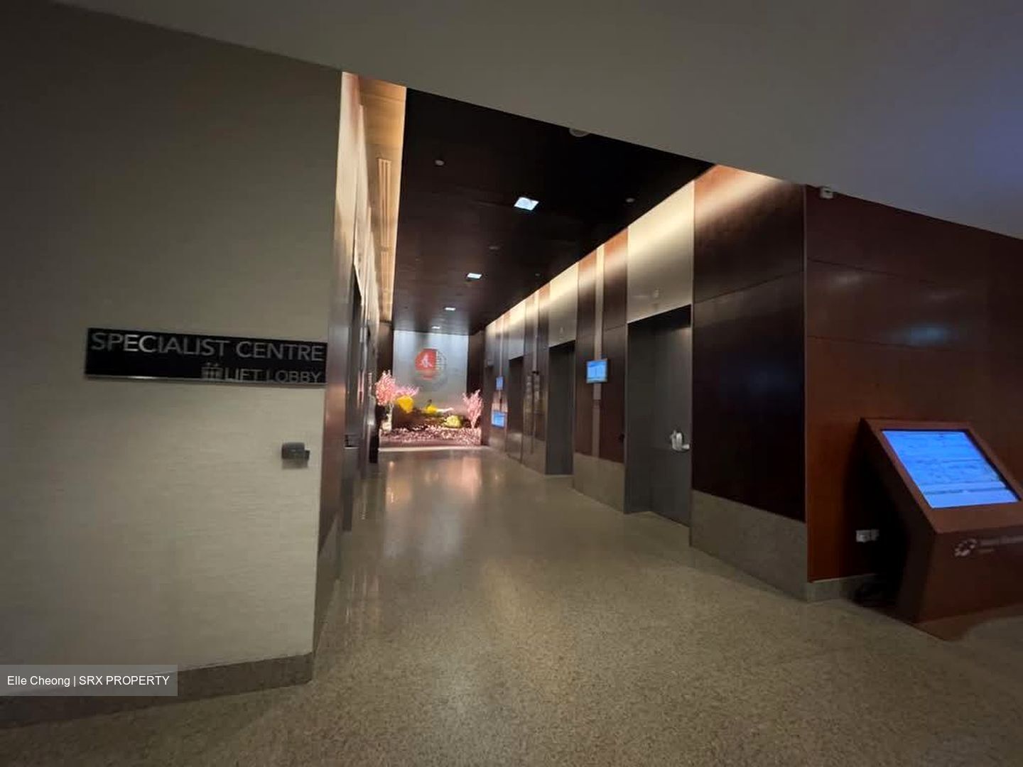Mount Elizabeth Novena Hospital (D12), Retail #585971741